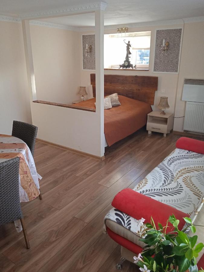 Zamek Ksiaz - 15 Minut 503-608-088 Lägenhet Stare Bogaczowice Exteriör bild